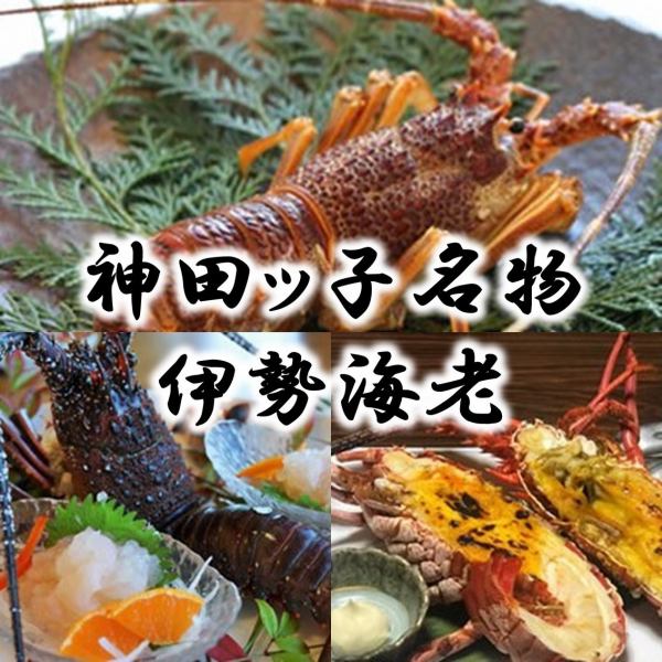 A specialty of Kandakko! Exceptionally fresh spiny lobster