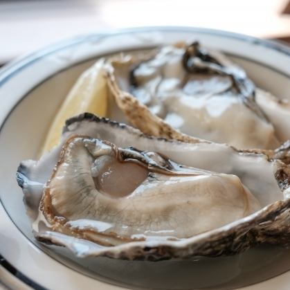 [Oysters from Sanriku, Iwate Prefecture]