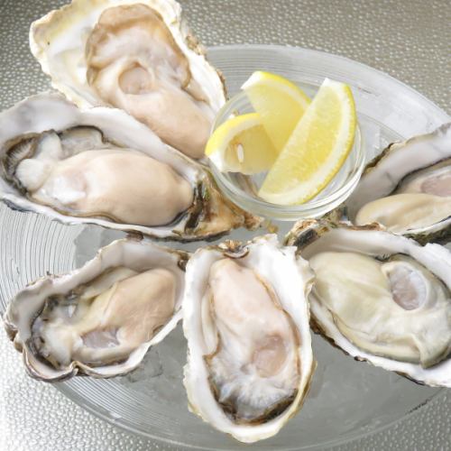 ◆ Oyster with outstanding freshness ◆