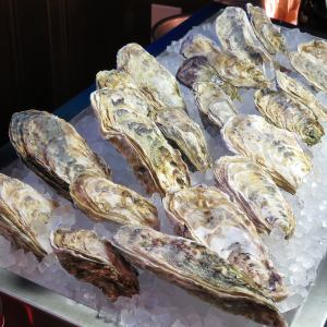 Oyster plate (3 types X3P)