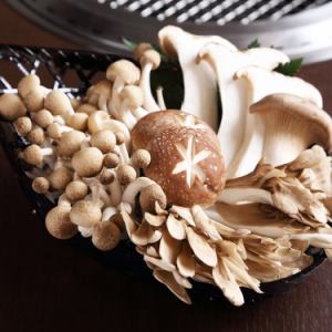 Assorted grilled mushrooms