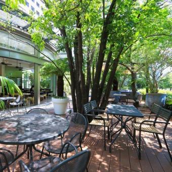 On sunny days, the terrace seats are comfortable with sunlight through the trees.