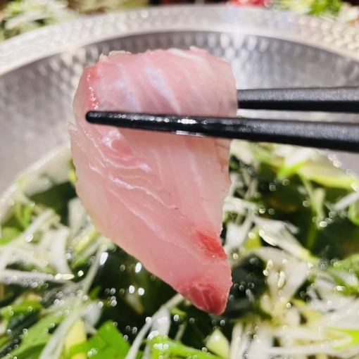 Early bird discount! Sunday to Thursday only! [2.5 hours all-you-can-drink included!] Yellowtail shabu-shabu and pork shabu-shabu banquet course 4,400 yen (tax included)