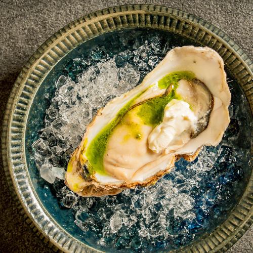 オイスターカクテル（サワークリームバジル/生牡蠣）