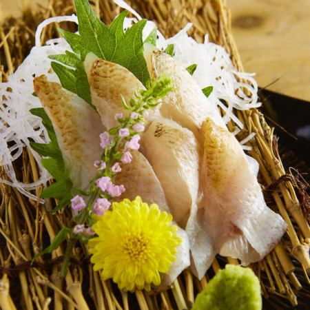 Nodoguro sashimi