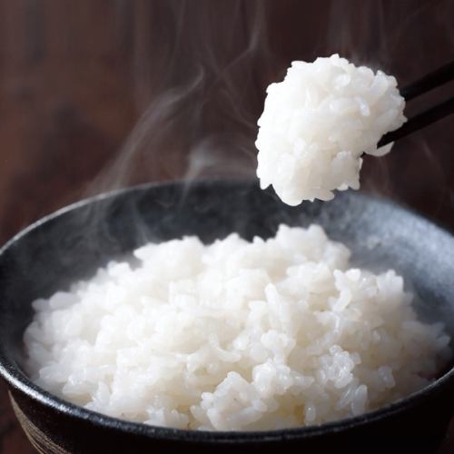 岩船産のコシヒカリご飯