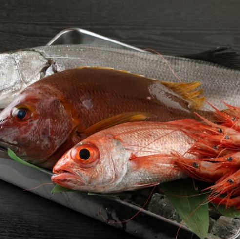  珍しい魚食べたい人にオススメ目利きと技で仕立てる本日の鮮魚