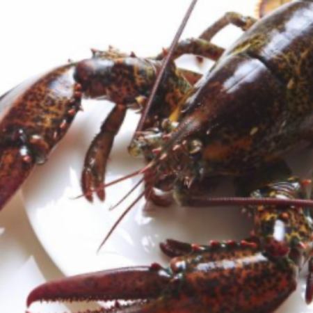 【シェフズスペシャルコース】赤城和牛ウィリントンやオマールエビ等全13品◆10780円(税込)