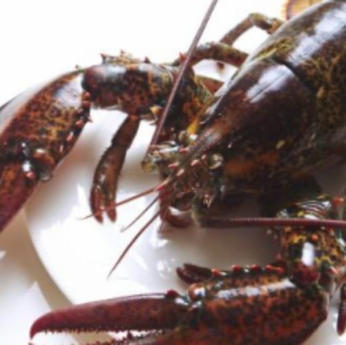 【シェフズスペシャルコース】赤城和牛ウィリントンやオマールエビ等全13品◆10780円(税込)