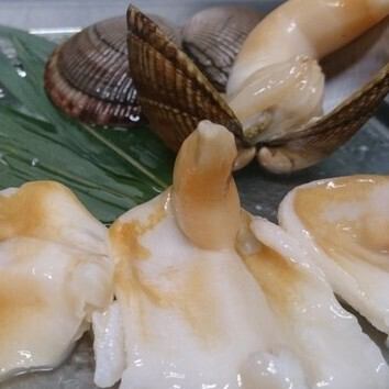 6月位から始まる岩手県産　石垣貝