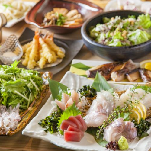 7/28~ [Banquet] Luxury banquet plan with 4 kinds of fresh fish, grilled Spanish mackerel with Saikyo miso, and crab tofu ■ 9 dishes with up to 2.5 hours of all-you-can-drink for 6,000 yen