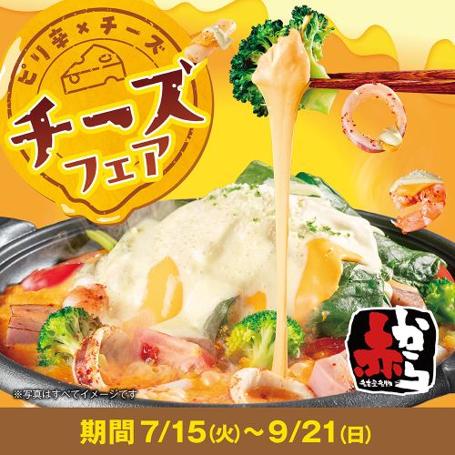 7月15日～9月21日限定☆チーズフェア開催！