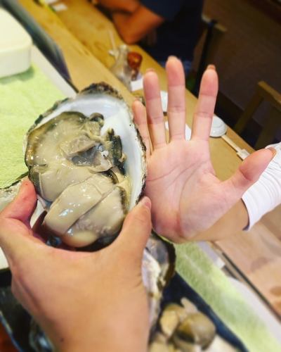 Tokushima rock oysters