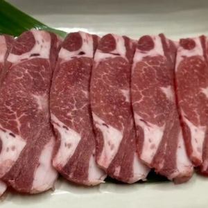 【特価】たんサガリ