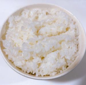 ごはん大