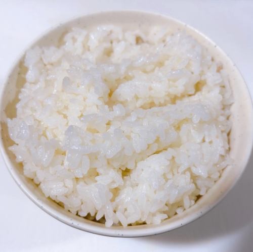 ごはん大
