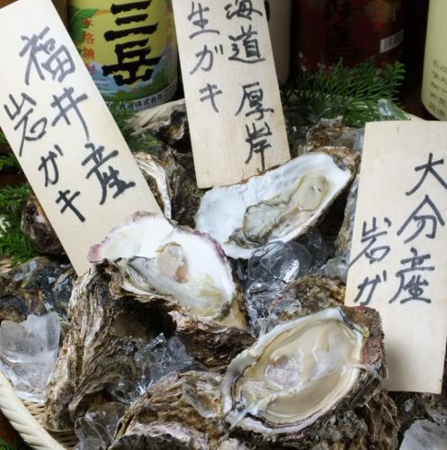 Now compare the season ♪ rock oysters eat!