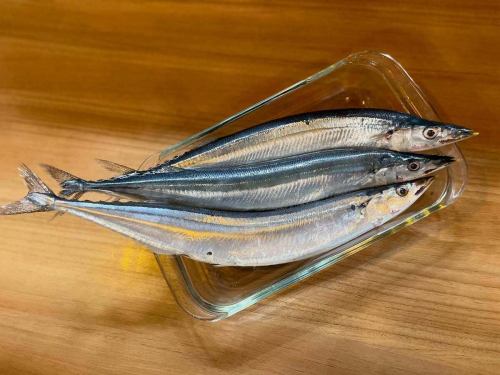 #秋刀魚 #サンマ #カルパッチョ 

🗣️「よくふとった秋刀魚〜！🐟」

こんにちは✨#レアーリ です😊
まだまだ夏の暑さを引きずって暑い日が続きますが
暦上ではもうすでに秋に突入🍂
レアーリに入る食材たちも秋の始まりを感じる物が
続々と入荷しております🙏🏻✨

今回は高級魚になりつつある
”~秋刀魚（サンマ）~”をご紹介🤲🏻
何年か前までは家庭魚で安い！美味しい！
なイメージの秋刀魚、
今では一匹千円する高級魚となりました🥺
でもその分、脂はノリッノリ！✨
軽く炙っただけでも脂が溶け出して良い香り、
臭みはなく香ばしさがめだちます
今が一番脂がのってるんじゃないのかな🤔と💗

美味しい秋刀魚をシンプルにカルパッチョで✨
次の入荷にもよりますがコンフィやカルパッチョ
パエリアにもつかっていく予定なので
カルパッチョで食べれるのは
週明けの月曜日までです🥹
是非この機会に生の秋刀魚、お楽しみください🤲🏻✨

〜お知らせ〜🚩
9月13日・14日にまたご縁が繋がり
「遠い山なみの光」映画公開記念イベントin魚の町団地
に参加させて頂くことになりました👏🏻👏🏻👏🏻
今回は映画に登場する~オムライス~にちなみ

”たっぷり木の子とゴロゴロ牛肉のデミオムライス”
~パセリバターライス~🍄‍🟫
をご提供させて頂きます！！！💗
デミグラスソースにゴロゴロとたっぷりお肉、
しいたけ、舞茸、えのき、しめじ、マッシュルームと
ふんだんに木の子を使って香ばしさと旨味をプラス☝🏻
大人〜お子様まで美味しく楽しんで頂ける一品を
提供させて頂きます🥰
また詳しい事は次回の更新で発表します！💗
良かったらチェック宜しくお願いします☑️

今週の営業日
9月8.9.10.11日ランチ、ディナー通常通り
12日（金曜日）ランチお休み　ディナー通常通り
13.14日魚の町団地イベント
15日（日曜日）定休日
16日〜通常通り営業

今週も皆さんにお会い出来るのを楽しみにしております💗

お店情報🔍
定休日⇨日曜日、第2.第4月曜日
金曜日ランチのみお休み

ランチ営業📢
・11時半Open〜15時close
（14時ラストオーダー）
　✍🏻menu
　　　　　　　　選べる季節のパスタ
・パスタランチ　¥1000- 全2品
（アミューズ　パスタ）

・Aランチ　　　¥1600- 全4品
（アミューズ　前菜　パスタ　ドルチェ　
　　　　　　　珈琲or紅茶）

・Bランチ　　　¥2200-全5品☜オススメ☆
（アミューズ　前菜　パスタ　メイン魚or肉　
　　　　　　　　　　　ドルチェ　珈琲or紅茶）

・Cランチ　　　¥3200- 全7品 
（アミューズ　冷前菜　温前菜　パスタ　
メイン魚　メイン肉　ドルチェ　珈琲or紅茶）

他　ランチでもアラカルトメニュー注文可🍴
　

ディナー📢
・17時Open〜22時close
（21時ラストオーダー）
ワンドリンク制オーダー🥂
　✍🏻menu
季節の食材を使った
・メイン肉or魚　の全6品ショートコース
¥5500-（税込）

季節の食材を使った
・フルコース　全7品
¥6000-（税込）☜オススメ☆

・特別コース〜要予約〜
シェフのお任せコース　全7品
¥10000- ウェルカムドリンク付き
他　アラカルト有り

⚠︎お客様の来店状況により早める場合が有ります。

＊＊＊＊＊＊＊＊＊＊＊
☎︎095-842-5125
ホットペッパー記載
浜口　イタリアンバル　レアーリ　と検索🔎
Instagram DMでも受付可能です🙆🏻‍♀️
＊＊＊＊＊＊＊＊＊＊＊

#長崎 
#長崎グルメ 
#浜口町 
#イタリアン 
#カジュアルイタリアン 
#肉 
#肉料理 
#肉パスタ 
#肉パスタがあるお店
#海鮮 
#海鮮パスタがあるお店
#魚介パスタ 
#魚介パスタが美味
#赤い扉が目印です 🚪
#レアーリ