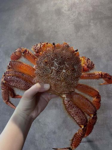 #海鮮リゾット 

🗣️「北海道産　毛蟹🦀入荷してます~🫶🏻✨」

こんにちは✨#レアーリ です😊
北海道から大きな毛蟹！🦀が入荷💕
身がぎっしり！パンチ強い旨味！
最高の毛蟹を鮮度が良い時に蒸してほぐして
剥き身にしました🦀
今回はホクホクそら豆と身をたっぷり贅沢に使って
”北海道産　毛蟹とそら豆のリゾット”を🤤
蟹の旨味たーーーっぷりの
言わずとも美味しい一品が出来ました🥹
蟹の身がなくなるまでの数量限定になりますが
ランチ、ディナー共に提供してます🩷
是非ぜひこの機会に美味しい毛蟹、堪能ください🦀

お店情報📢

lunch Time🍽️ （11時半~14時　close15時）
◦Pasta lunch -アミューズ.パスタ　¥1200~

◦A lunch ¥1900~
-アミューズ.前菜.パスタ.ドルチェ.食後drink

◦B  lunch ¥2500~
-アミューズ.前菜.パスタ.メイン（魚or肉）
ドルチェ.食後drink

◦C  lunch ¥3500~
-アミューズ.冷前菜.温前菜,パスタ.魚メイン
肉メイン.ドルチェ.食後drink

dinner Time🍽️ （平日17時~21時　close22時）
　　　　　　　　（週末17時~22時　close23時）
◦half- course メイン魚or肉　
¥6000~
◦full-course メイン魚、肉どちらも
¥6500~
🤫事前予約で500円オフです♡

🥄アラカルト営業もしております🥄

＊＊＊＊＊＊＊＊＊＊＊
☎︎095-842-5125
ホットペッパー記載
浜口　イタリアンバル　レアーリ　と検索🔎
Instagram DMでも受付可能です🙆🏻‍♀️
＊＊＊＊＊＊＊＊＊＊＊

#長崎 
長崎グルメ 
浜口町 
イタリアン 
#カジュアルイタリアンの店 
肉 
肉料理 
肉パスタがあるお店 
海鮮 
海鮮パスタがあるお店 
魚介パスタ 
魚介パスタが美味
赤い扉が目印です 🚪
レアーリ