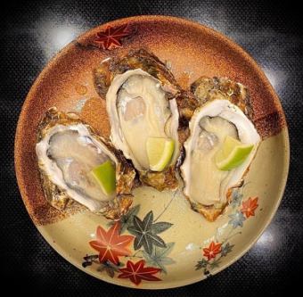 Limited to December-March! Raw oysters with shells from Hiroshima Otodo * 1 price