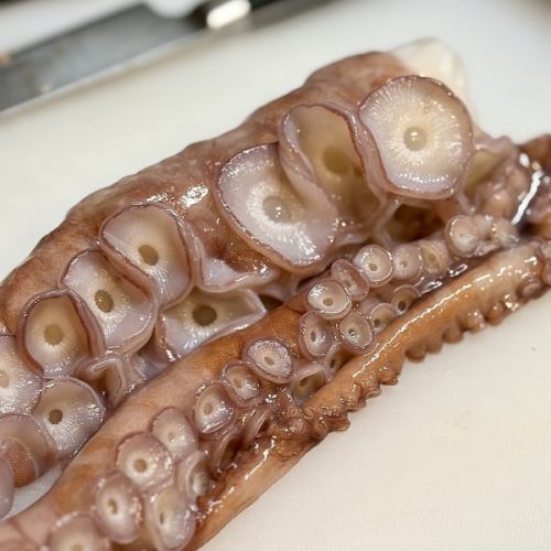 店主精选的海鲜和新鲜鱼类