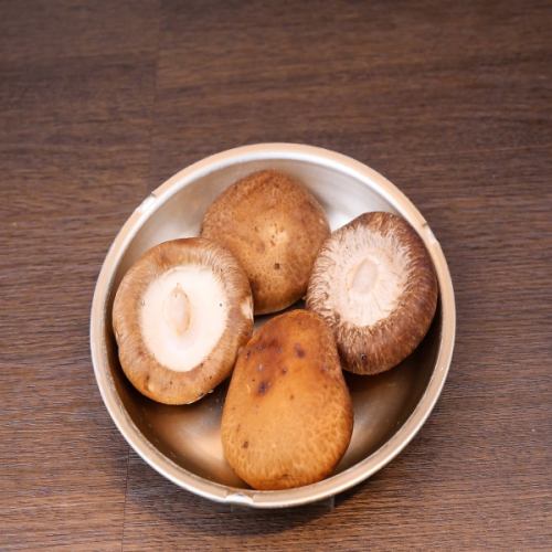 Shiitake mushrooms (4 pieces)
