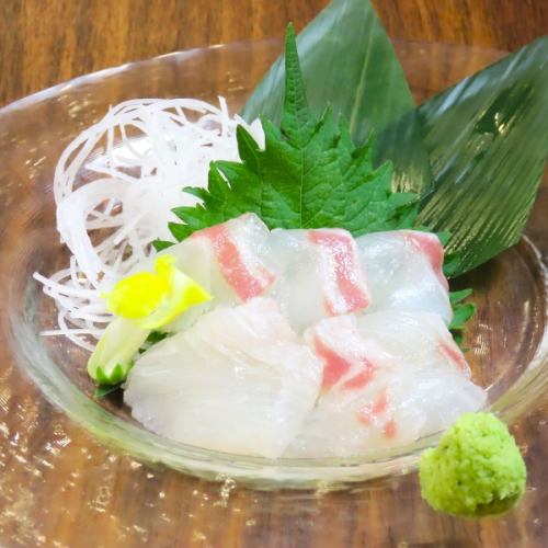 高知県産　生姜鯛