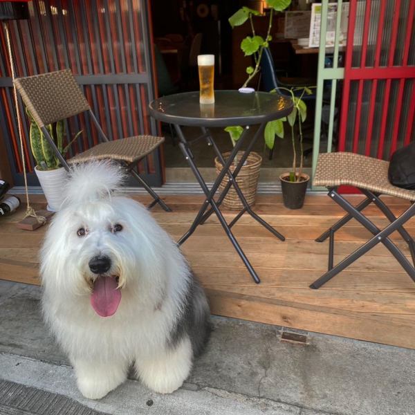 テラス席はペット同伴可です♪