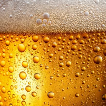 【暢飲（單點）】2小時暢飲，只要2200日圓！更有高級麥芽飲品可供選擇！