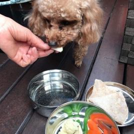 【テラス席】 ワンちゃんとのお食事も楽しめます♪お気軽にお越しください。