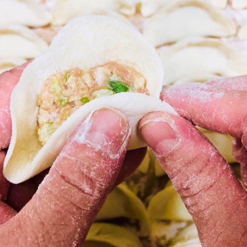 Authentic dim sum including completely homemade gyoza and xiaolongbao