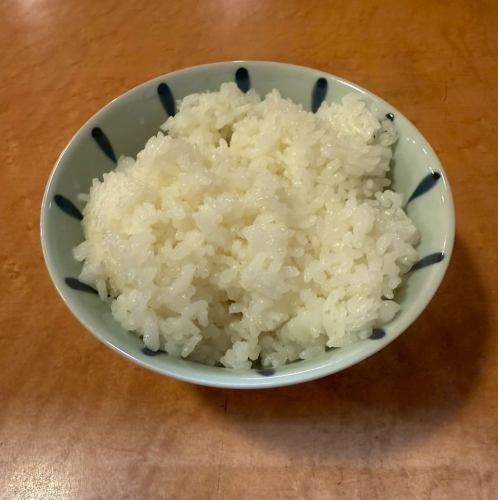 ライス　(小/中/大)