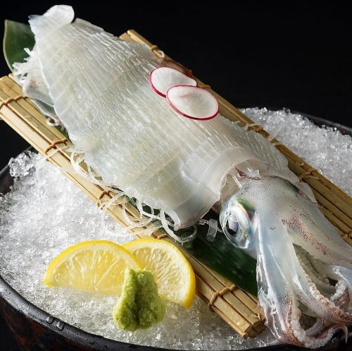 活ヤリイカ姿盛