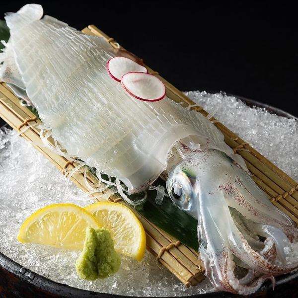 鮮度に驚く！呼子直送の活イカ