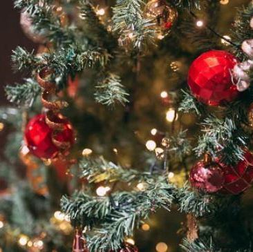 12月23日至26日可預約【L'ANGOLO 聖誕節高級食材套餐】7道菜,8000日元