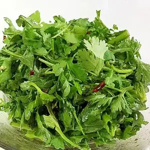 パクチーともやしのサラダ