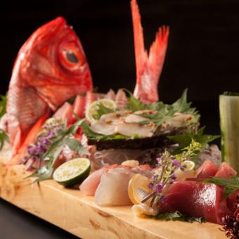 Assorted 5 kinds of sashimi