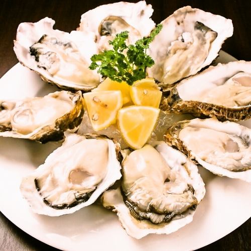 Plate of 8 oysters