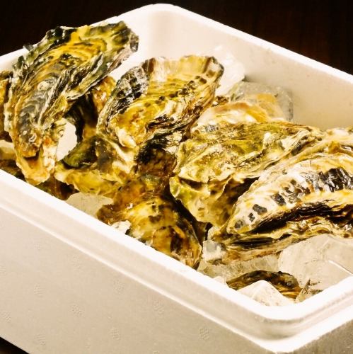 Commitment to preserve oysters that breathe in 30L water a day alive