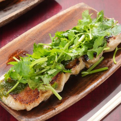 パクチージェノベーゼ餃子