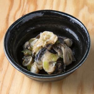 Whelk wasabi