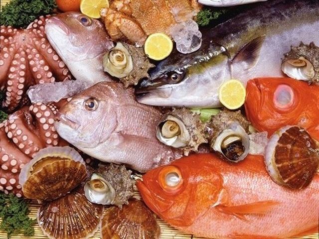 魚がうまい!加古川駅前の海鮮居酒屋【しまたに】個室もあり!