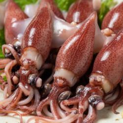 ◎＊◎ 春のおすすめ「ホタルイカフェア」開催 ◎＊◎