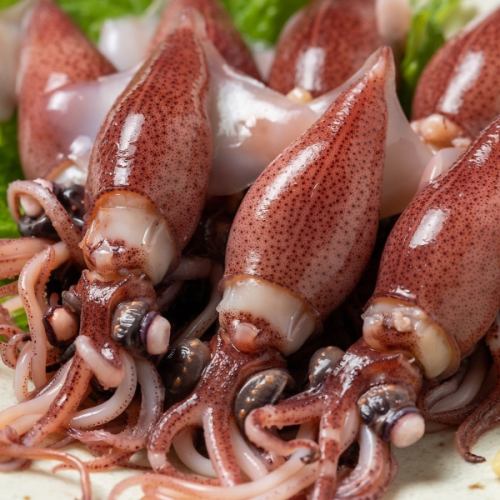 ◎*◎ 春のおすすめ「ホタルイカフェア」開催 ◎*◎