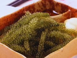 Sea grapes