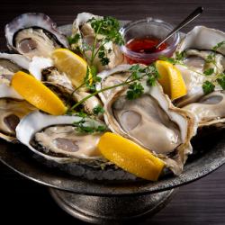 今日供應的生蠔 1公斤