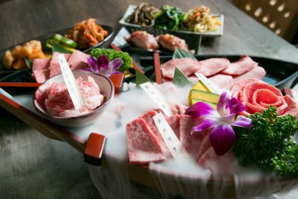 【期間限定】プレミアム飲み放題付A５黒毛和牛がメインとした15品明川スペシャルコース