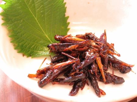 珍味盛り合わせ(いなご、蚕のサナギ、蜂の子佃煮)