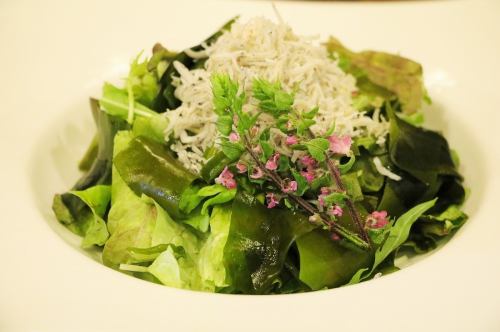 New seaweed and whitebait salad