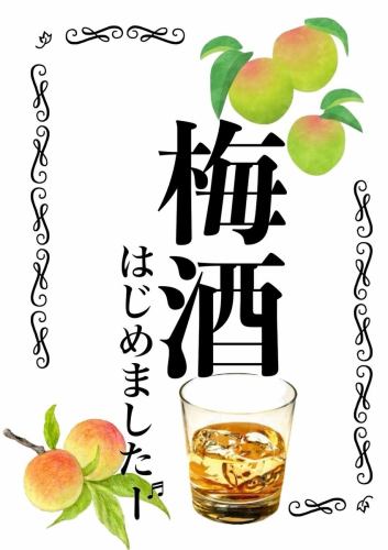 梅酒はじめました。